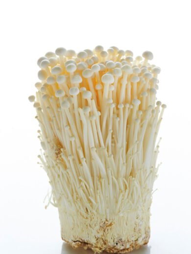 enoki mushrooms uk